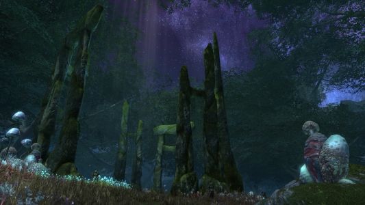 Scatherran Forest, Part II – Rift.Pictures