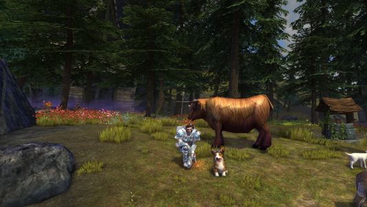 Zysa, Radar and a cow ;)